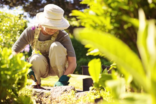 Consultation for a hedge trimming quote at a Barnet property