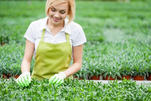 A young woman with blonde hair, wearing a white shirt, light green apron, and matching gardening gloves, is smiling while tending to a neatly arranged garden bed filled with lush, green, leafy plants. The outdoor garden appears well-maintained, featuring a landscaped area with a background of more greenery and a section of flower pots or containers visible behind her. The garden is well-lit with natural daylight, indicating a bright, possibly sunny day. The foreground shows dense, healthy plant growth, with the garden bed bordered by a low edge or border, and the soil underneath the plants not visible due to the dense foliage. The scene reflects a professional gardening environment, possibly at a nursery or garden design space, with a focus on plant cultivation and outdoor care, typical of services provided by Hedge Trimming Barnet and similar gardening professionals in the Barnet area, near London, with a postcodes in the N or EN postal districts.